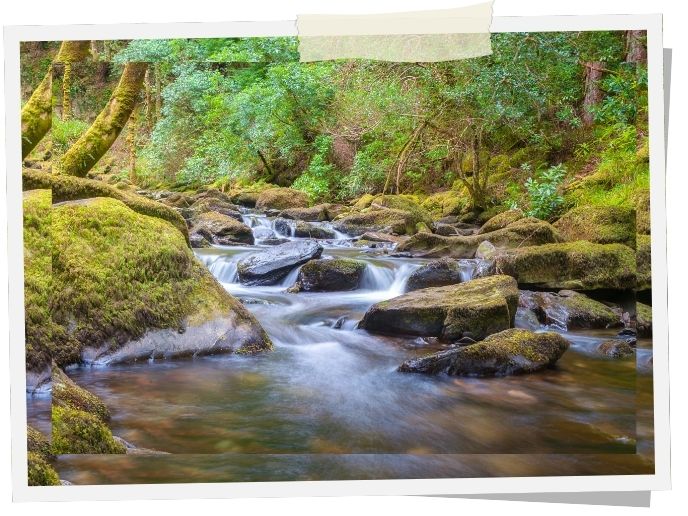Killarney Nationalpark – Naturhighlight und Sehenswürdigkeit im Südwesten Irlands - Ring of Kerry