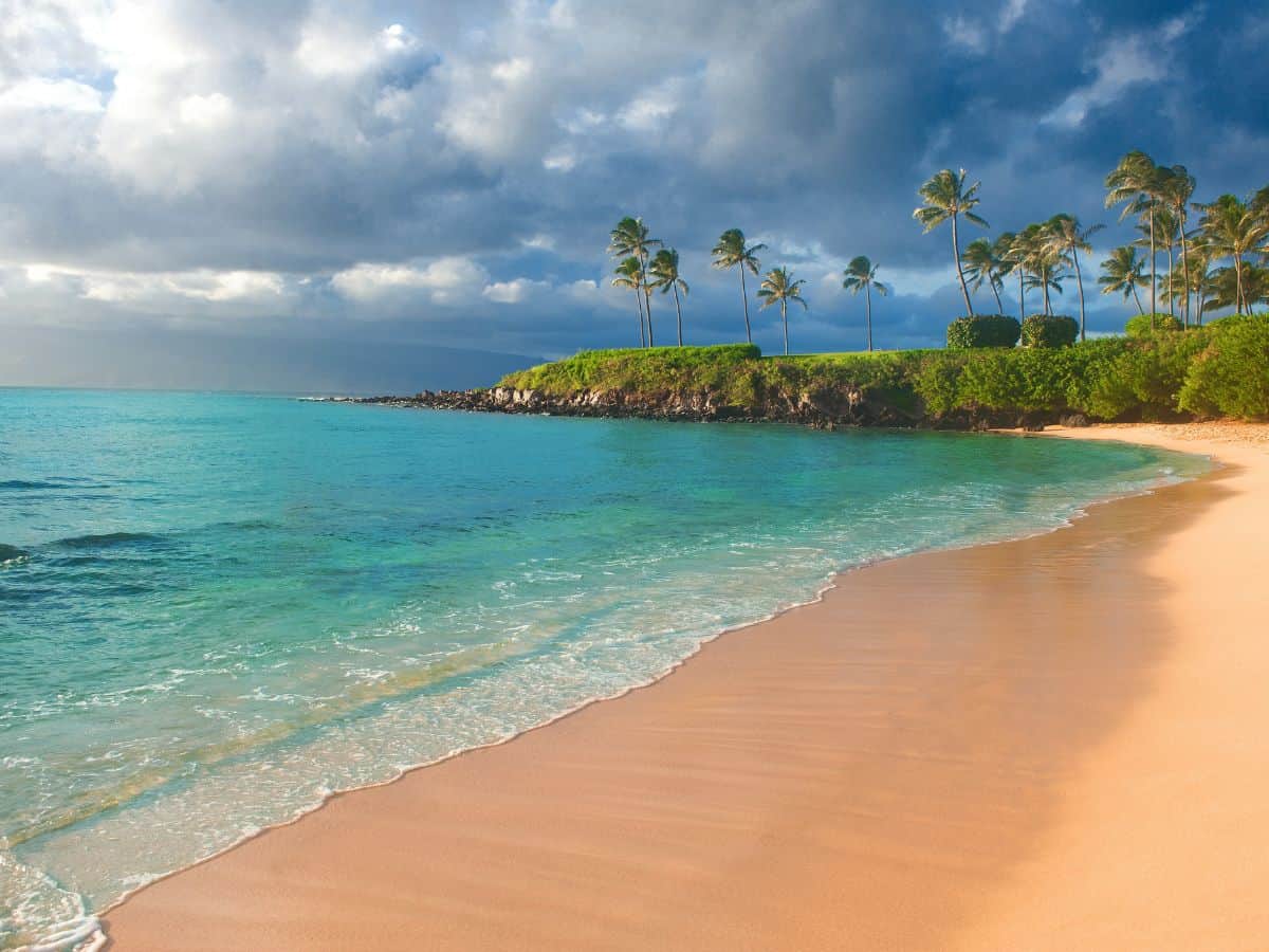 Tropischer Strand mit Palmen und türkisblauem Meer – Symbolbild für Luxusresorts