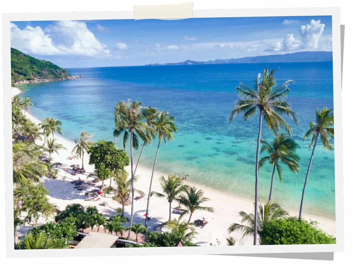 Leela Beach auf Koh Phangan in Thailand mit Palmen, weißem Sand und türkisblauem Meer