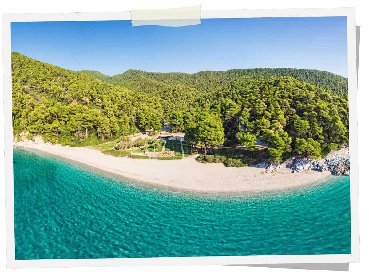 Kastani Beach auf Skopelos mit türkisblauem Wasser und Pinienwald bis ans Meer, bekannt aus Mamma Mia