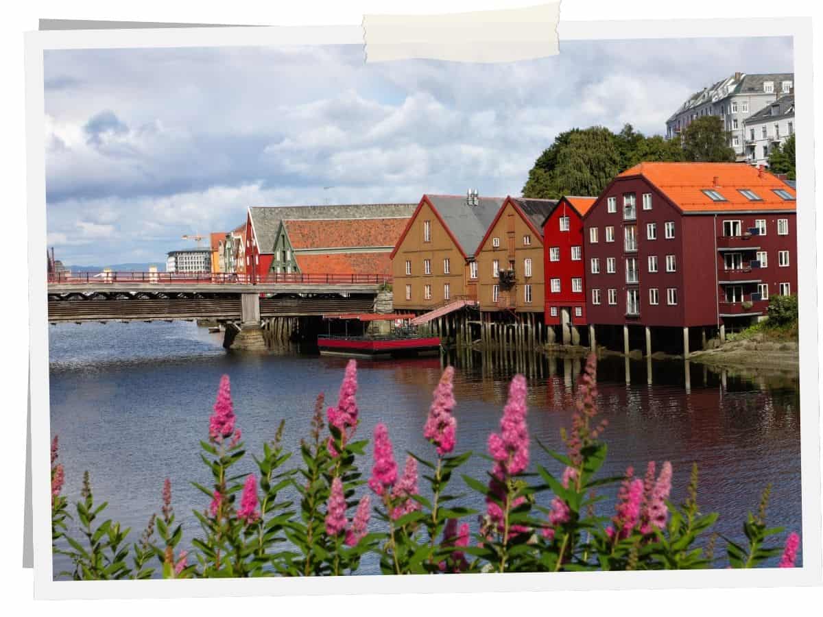 Bunte Speicherhäuser am Fluss Nidelva in Trondheim, Norwegen